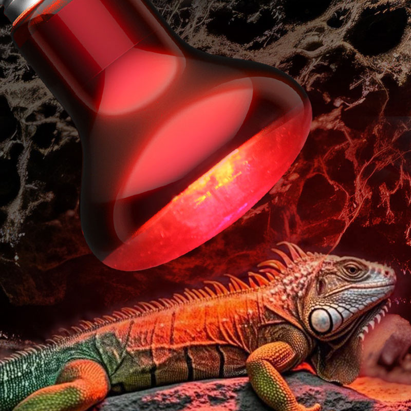 Sürüngen Isıtma Lambası 100V/2 - Gecko Lighting & Decor incelemesi ve fiyatı