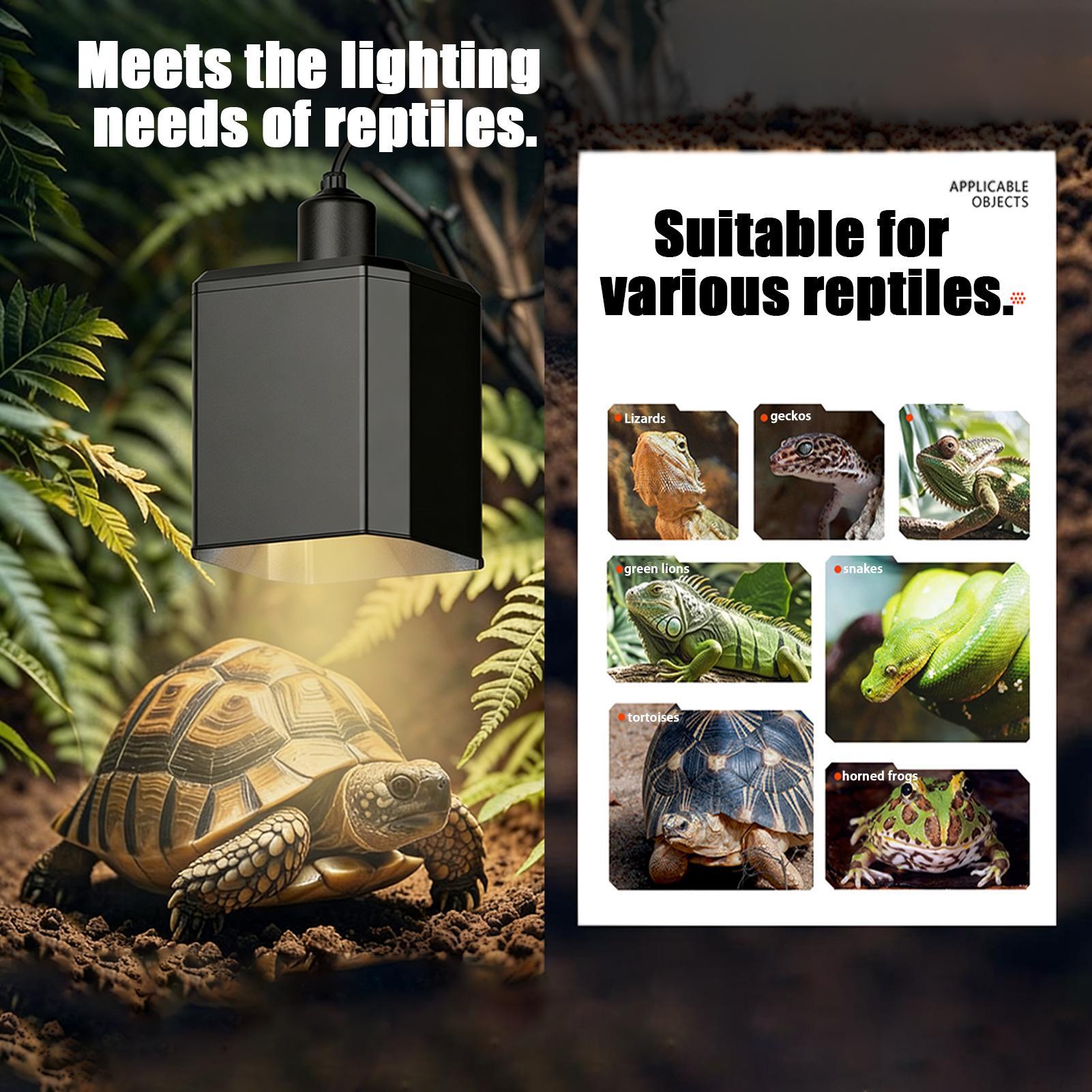 Sürüngen Isı Lambası Kapağı Sü - Gecko Lighting & Decor incelemesi ve fiyatı