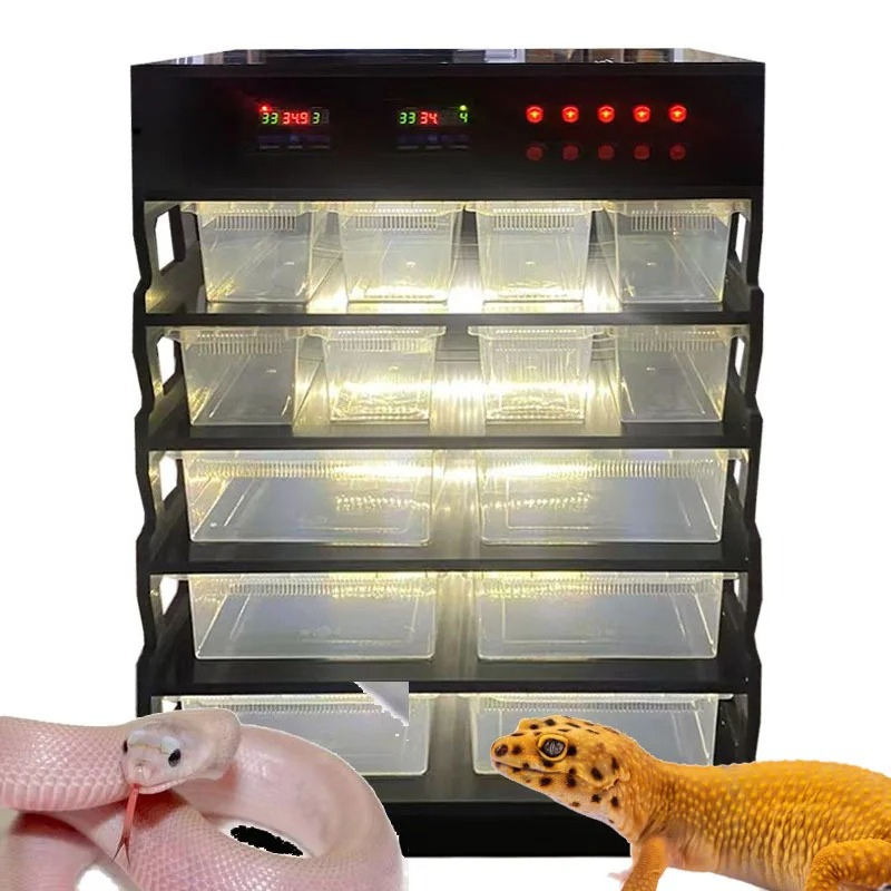Akıllı PVC Sürüngen Mobilyalar - Gecko Lighting & Decor incelemesi ve fiyatı